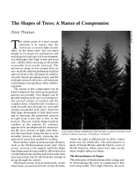 The Shapes of Trees: a Matter of Compromise