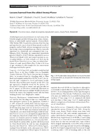 Lessons Learned from the Oldest Snowy Plover