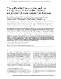 The P53–Mdm2 Interaction and the E3 Ligase Activity of Mdm2/Mdm4 Are Conserved from Lampreys to Humans