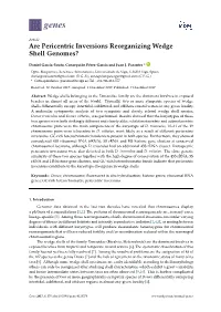 Are Pericentric Inversions Reorganizing Wedge Shell Genomes?