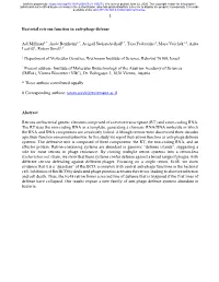 Bacterial Retrons Function in Anti-Phage Defense