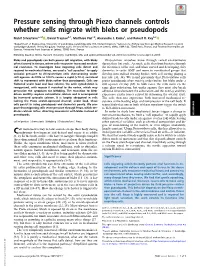 Pressure Sensing Through Piezo Channels Controls Whether Cells Migrate with Blebs Or Pseudopods