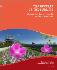 The Reverse of the Sublime