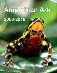 Aark-10Yr-Final.Pdf