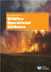 Fire and Rescue Service Wildfire Operational Guidance Fire and Rescue Service Wildfire Operational Guidance