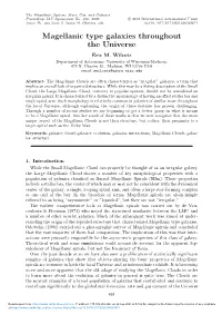 Magellanic Type Galaxies Throughout the Universe Eric M