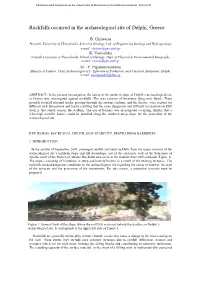 Rock Falls in Delphi Archaeological Site, in Greece