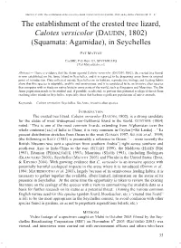 The Establishment of the Crested Tree Lizard, Calotes Versicolor (DAUDIN, 1802) (Squamata: Agamidae), in Seychelles