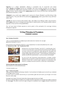 12 Day Primates & Predators