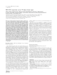 HOX D13 Expression Across 79 Tumor Tissue Types