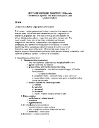 Chapter 13 Central Nervous System