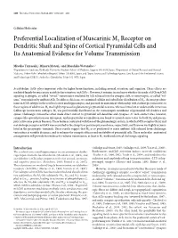 Preferential Localization of Muscarinic M1 Receptor on Dendritic Shaft and Spine of Cortical Pyramidal Cells and Its Anatomical Evidence for Volume Transmission