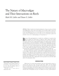 The Nature of Macroalgae and Their Interactions on Reefs Mark M