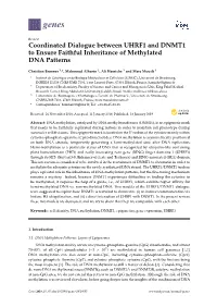Coordinated Dialogue Between UHRF1 and DNMT1 to Ensure Faithful Inheritance of Methylated DNA Patterns