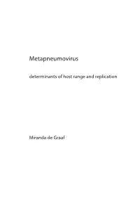 Metapneumovirus Determinants of Host Range and Replication