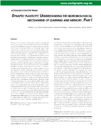 Synaptic Plasticity: Understanding the Neurobiological Mechanisms of Learning and Memory