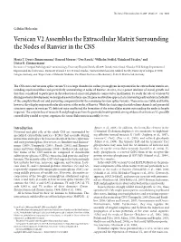 Versican V2 Assembles the Extracellular Matrix Surrounding the Nodes of Ranvier in the CNS