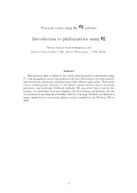 ————— Introduction to Phylogenetics Using —————