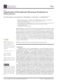 Optimisation of Recombinant Myrosinase Production in Pichia Pastoris