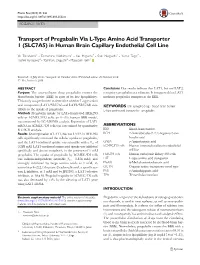 Transport of Pregabalin Via L-Type Amino Acid Transporter 1 (SLC7A5) in Human Brain Capillary Endothelial Cell Line