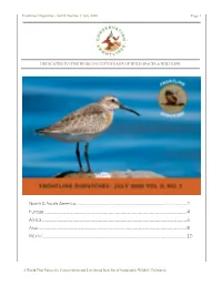 Downloadable As a PDF