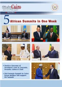 Letter from Cairo 29Th Issue