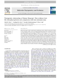 Phylogenetic Relationships of Ruteae (Rutaceae): New Evidence from the Chloroplast Genome and Comparisons with Non-Molecular Data