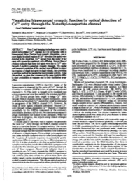 Visualizing Hippocampal Synaptic Function by Optical Detection