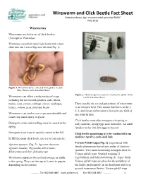 Wireworm and Click Beetle Fact Sheet Sebastian Ibarra, Agri-Environmental Specialist/PMUC May 2018