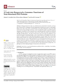 A Look Into Bunyavirales Genomes: Functions of Non-Structural (NS) Proteins