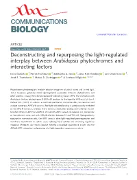 Deconstructing and Repurposing the Light-Regulated Interplay Between Arabidopsis Phytochromes and Interacting Factors