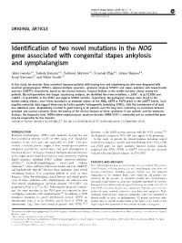 Identification of Two Novel Mutations in the NOG Gene Associated With