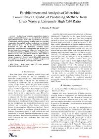 Establishment and Analysis of Microbial Communities Capable of Producing Methane from Grass Waste at Extremely High C/N Ratio