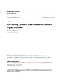 Evolutionary Dynamics in Molecular Populations of Ligase Ribozymes