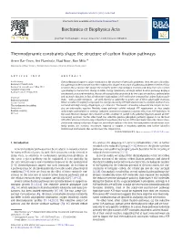 Thermodynamic Constraints Shape the Structure of Carbon Fixation Pathways