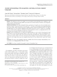 Anatomy and Morphology of the Nasopalatine Canal Using Cone-Beam Computed Tomography