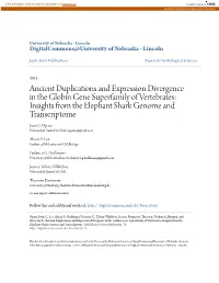 Ancient Duplications and Expression Divergence in the Globin Gene Superfamily of Vertebrates: Insights from the Elephant Shark Genome and Transcriptome Juan C