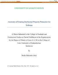 Anomaly of Existing Intellectual Property Protection for Software