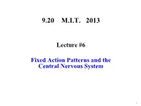 Fixed Action Patterns and the Central Nervous System