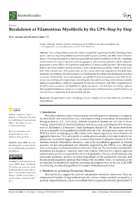 Breakdown of Filamentous Myofibrils by the UPS–Step by Step