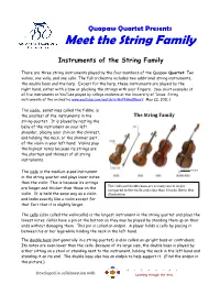 Meet the String Family