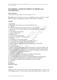 Weathering and Development of Chemically Mature Soils - Nicolas Fedoroff