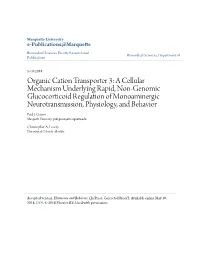 Organic Cation Transporter 3: a Cellular Mechanism Underlying