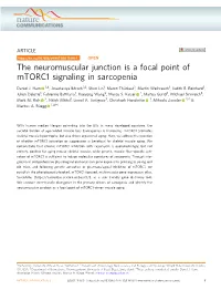 The Neuromuscular Junction Is a Focal Point of Mtorc1 Signaling in Sarcopenia