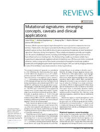 Mutational Signatures: Emerging Concepts, Caveats and Clinical Applications