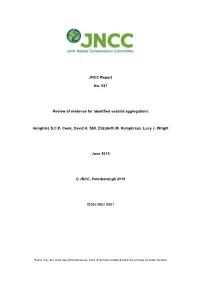 Review of Evidence for Identified Seabird Aggregations