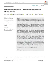 Wildlife Roadkill Patterns in a Fragmented Landscape of the Western Amazon