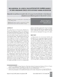 Seed Dispersal of a Useful Palm (Astrocaryum Chambira Burret) in Three Amazonian Forests with Different Human Intervention