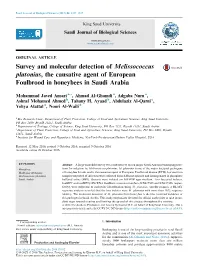 Survey and Molecular Detection of Melissococcus Plutonius, the Causative Agent of European Foulbrood in Honeybees in Saudi Arabia
