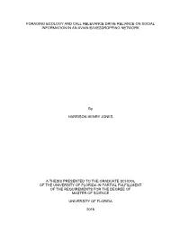 University of Florida Thesis Or Dissertation Formatting